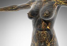 The health of the lymphatic system can improve in this way
